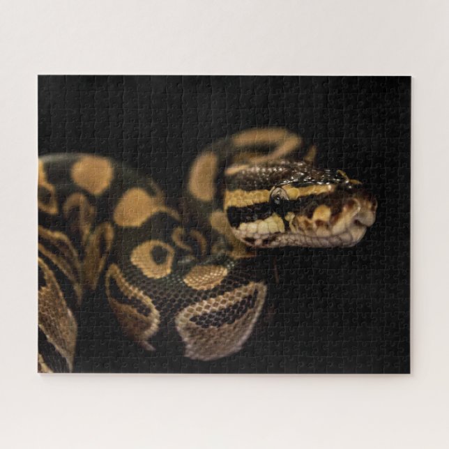 Difícil rompecabezas de serpientes (Horizontal)