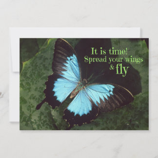 Difunde tus alas y vuela mariposa