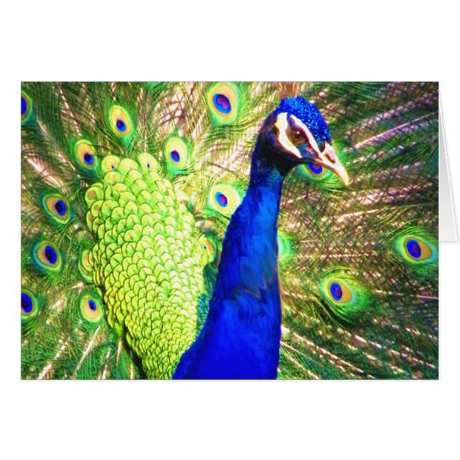 Difundir el amor (Anverso (Horizontal))