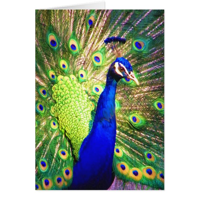 Difundir el amor (Frente)