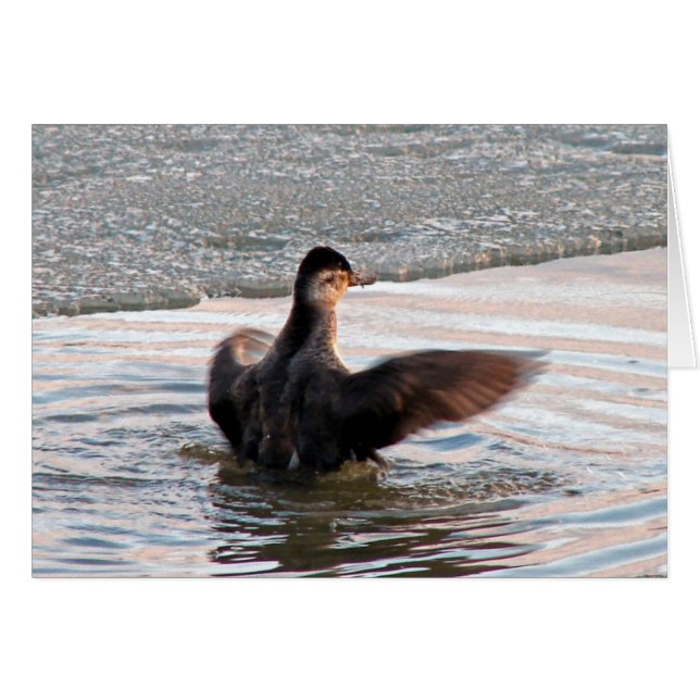 Difundir tus alas (Anverso (Horizontal))