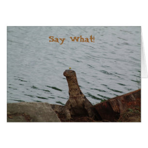 ¡Diga lo que! Monitor de agua