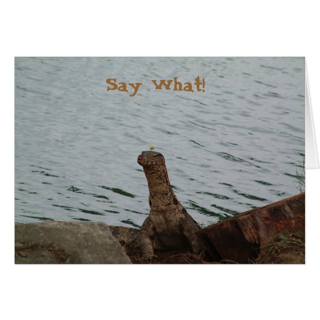 ¡Diga lo que! Monitor de agua (Anverso (Horizontal))