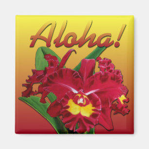¡Dígalo con hawaiana! Imanes