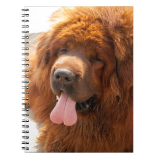 Diggy un cuaderno rojo hermoso del mastín tibetano