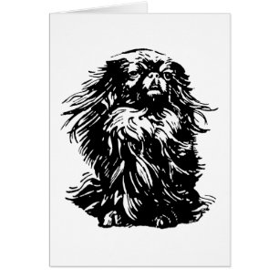 Dignidad Pekingese