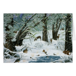 Dijeron que no nevaría