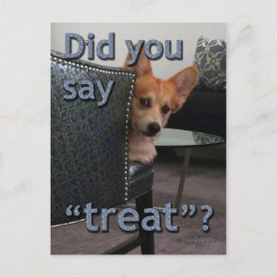 "¿Dijiste 'tratar'?" Tarjeta Corgi