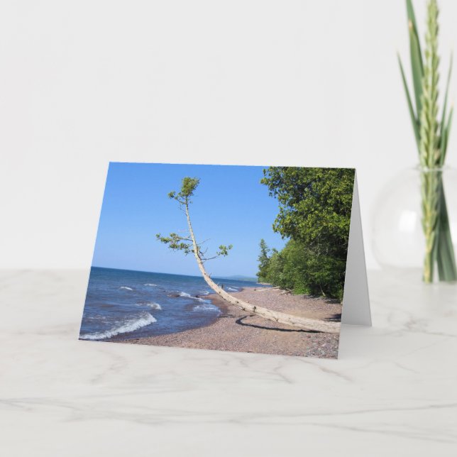 Diligente buscando - tarjeta de felicitación de la (Anverso)