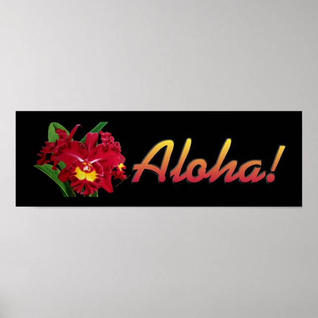 ¡Dilo con Aloha! 3 ( Impresiones ) (Frente)
