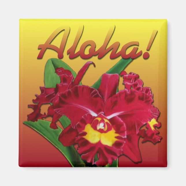 ¡Dilo con Aloha! Imanes (Frente)