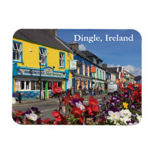 Dingle, imán de Irlanda