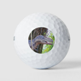 Dinosaurio divertido - Bolas de golf Daspletosaur