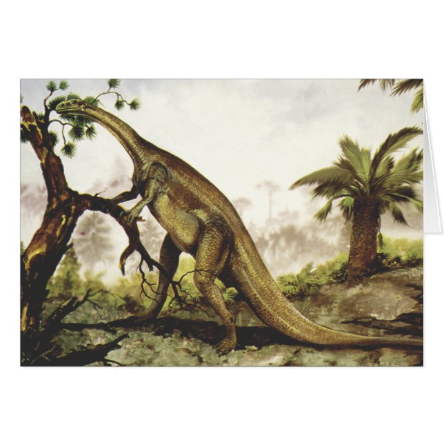 Dinosaurios Antiguos, Plateosaurus Pastando en Árb (Anverso (Horizontal))