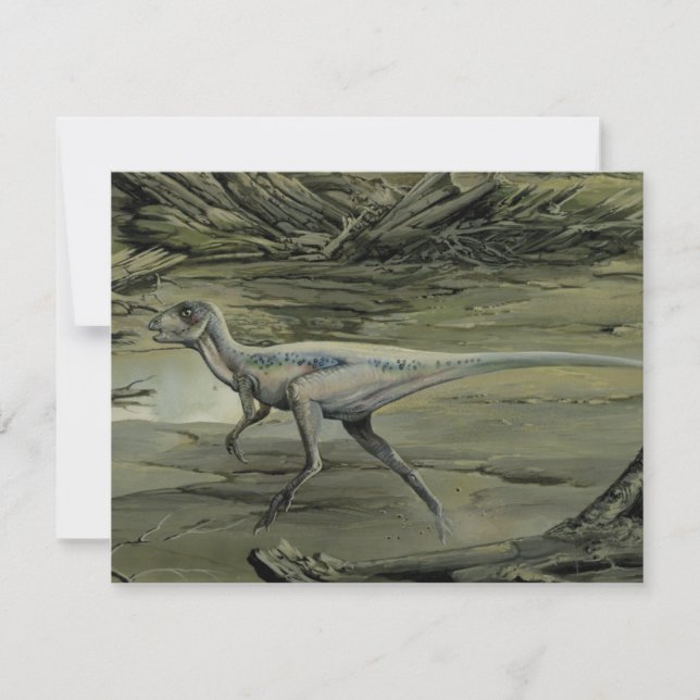 Dinosaurios antiguos, un Hypsilophodon del Cretáci (Anverso)