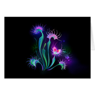 Dionea atrapamoscas luminosa