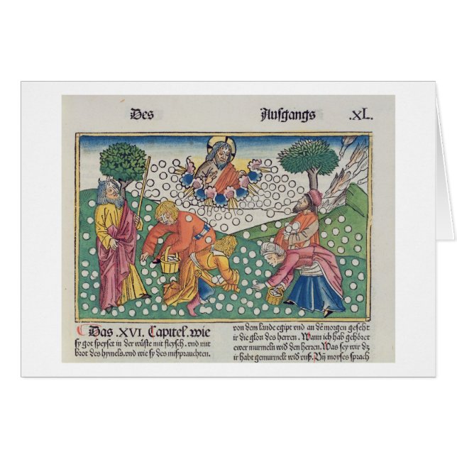 Dios 13-22 del éxodo 16 proporciona las codornices (Anverso (Horizontal))