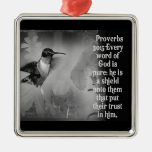 DIOS DEL ORNAMENTO DEL 30:5 DE LOS PROVERBIOS ES