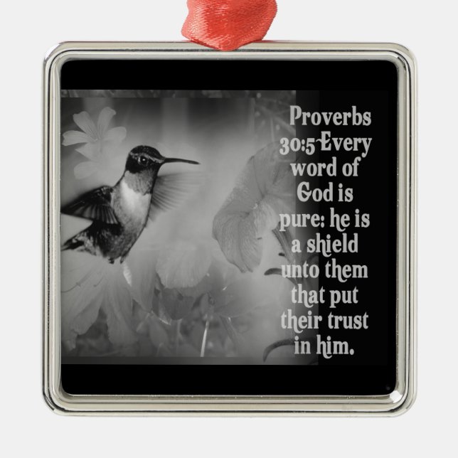 DIOS DEL ORNAMENTO DEL 30:5 DE LOS PROVERBIOS ES (Frente)