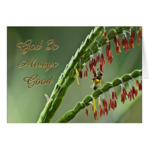 Dios es bueno
