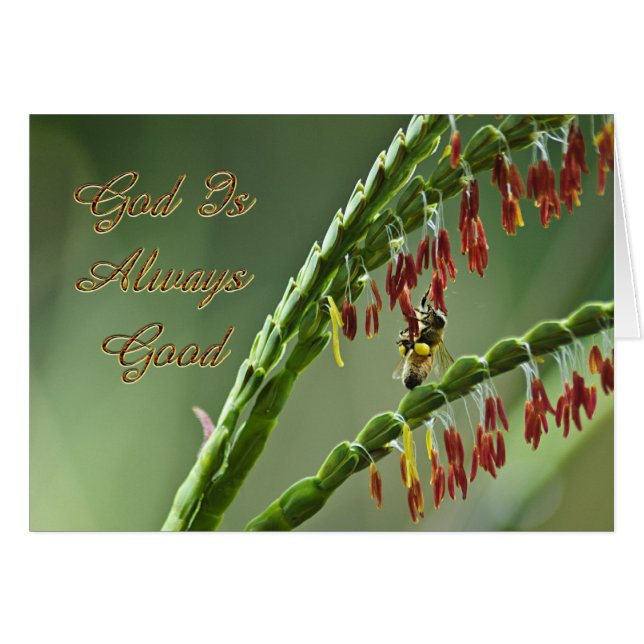 Dios es bueno (Anverso (Horizontal))