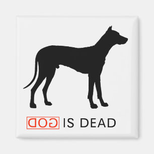 Dios es imán muerto