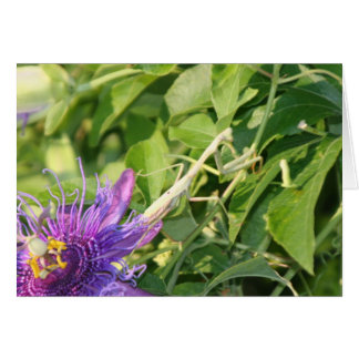 Dios está en los detalles