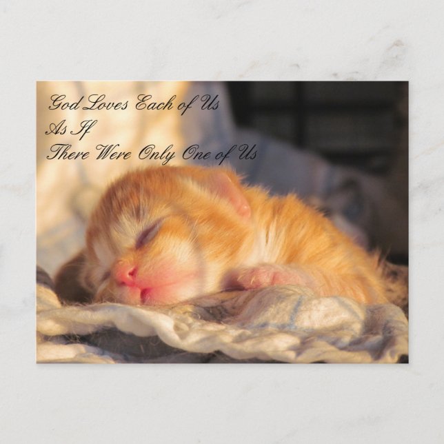 Dios nos ama la postal con la foto de gatitos (Anverso)