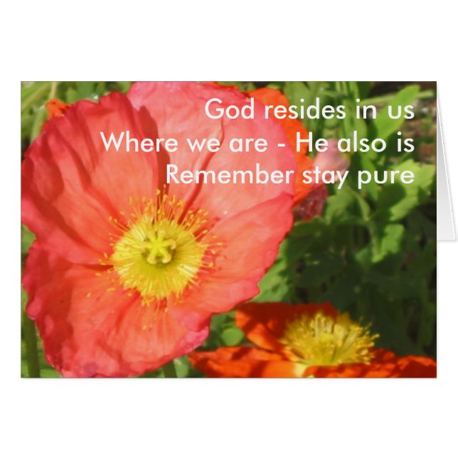 Dios resiste/amapola (Anverso (Horizontal))