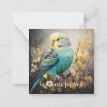 Dios te cuida, con tarjeta de nota de Parakeet