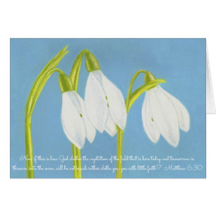 Dios viste la vegetación Field~Scripture~SnowDrops