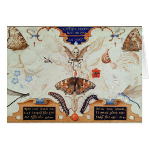 Díptica con las flores y los insectos, 1591
