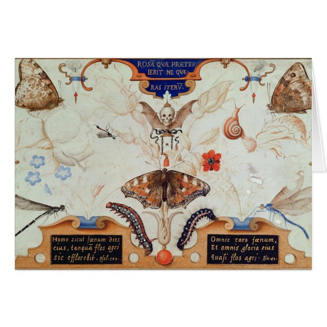 Díptica con las flores y los insectos, 1591 (Anverso (Horizontal))