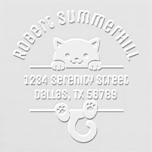 Dirección de arco gato gatito