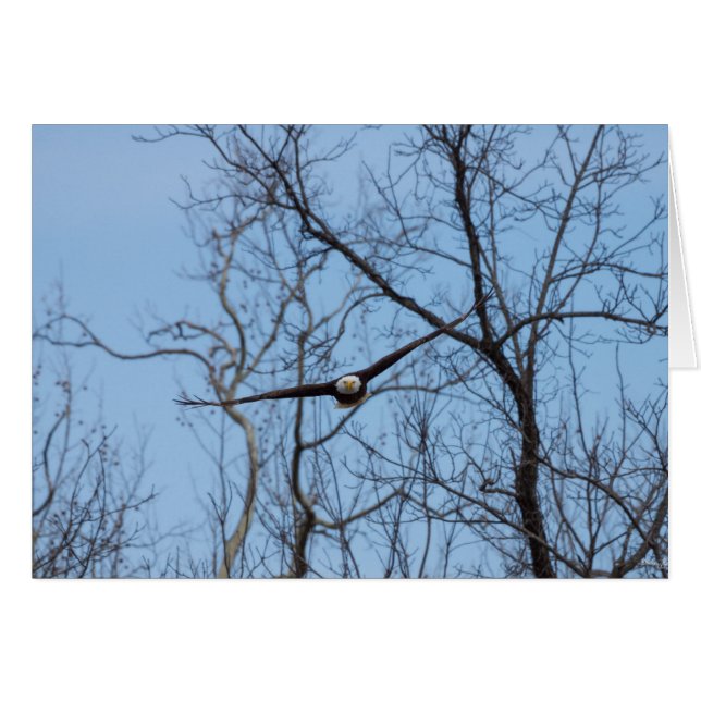 Directamente Sobre El Águila (Anverso (Horizontal))