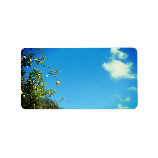 DIRIGIR ETIQUETAS ARTE Y DISEÑO (Frente)