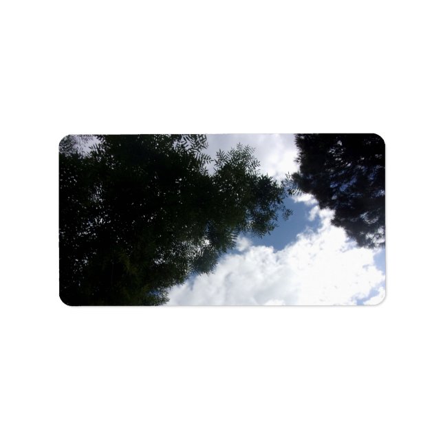 DIRIGIR ETIQUETAS ARTE Y DISEÑO (Frente)