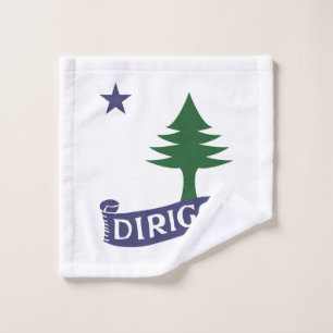 Dirigo / Bandera principal de 1901