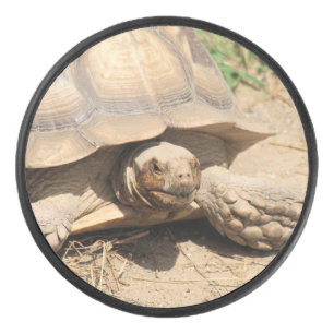 Disco De Hockey Ala aldabra