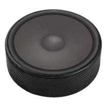 Altavoz Falso