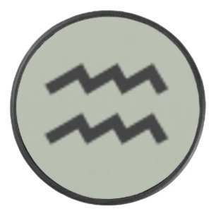 Disco De Hockey Aquarius Zodiac Symbol Standard by Kenneth Yoncich