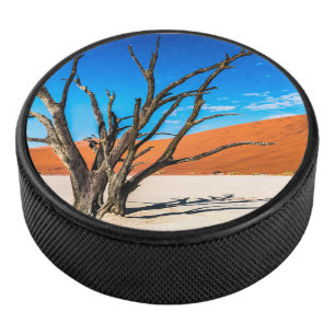 Disco De Hockey Árbol muerto en Deadvlei, Namibia