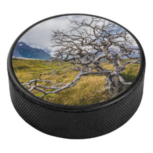 Disco De Hockey Árbol quemado, Torres del Paine, Chile