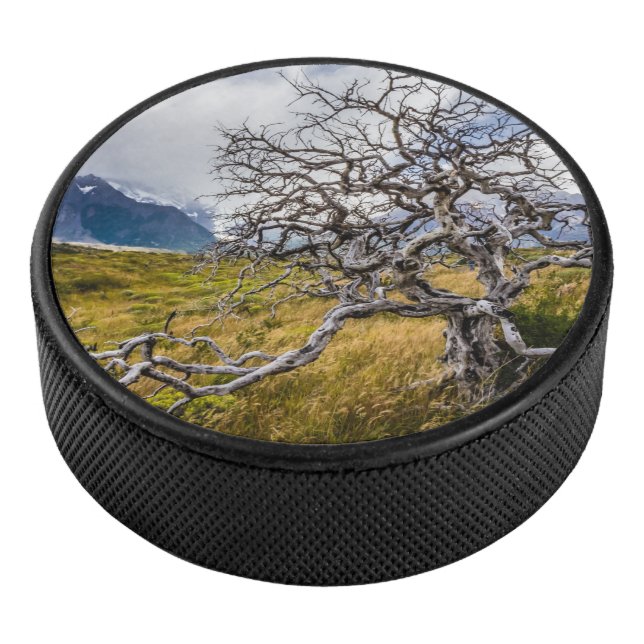 Disco De Hockey Árbol quemado, Torres del Paine, Chile (3/4)
