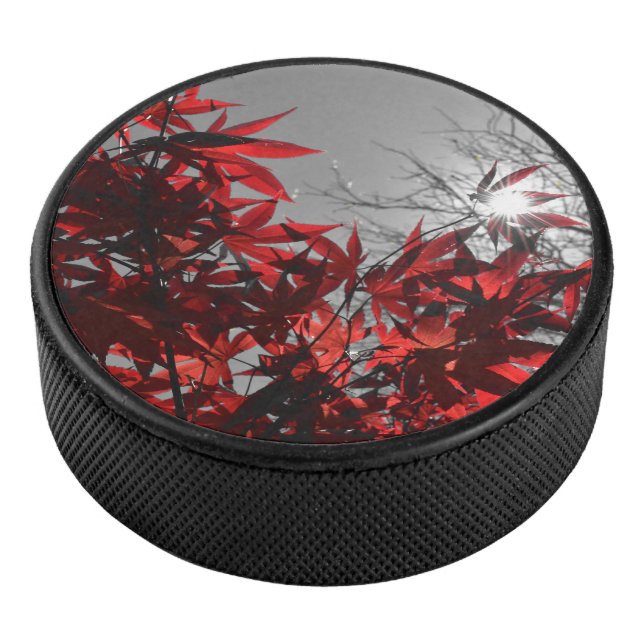 Disco De Hockey Ascuas de Otoño (3/4)