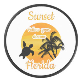 Disco De Hockey Atardecer lindo en Florida  