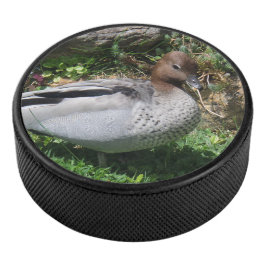 Disco De Hockey Australian Wood Duck in Tranquil Garden