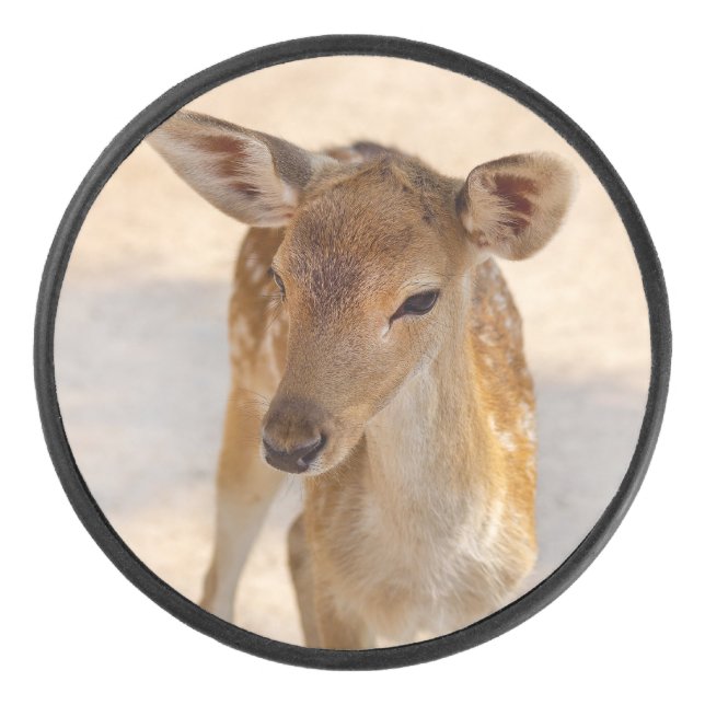 Disco De Hockey Baby Deer (Anverso)