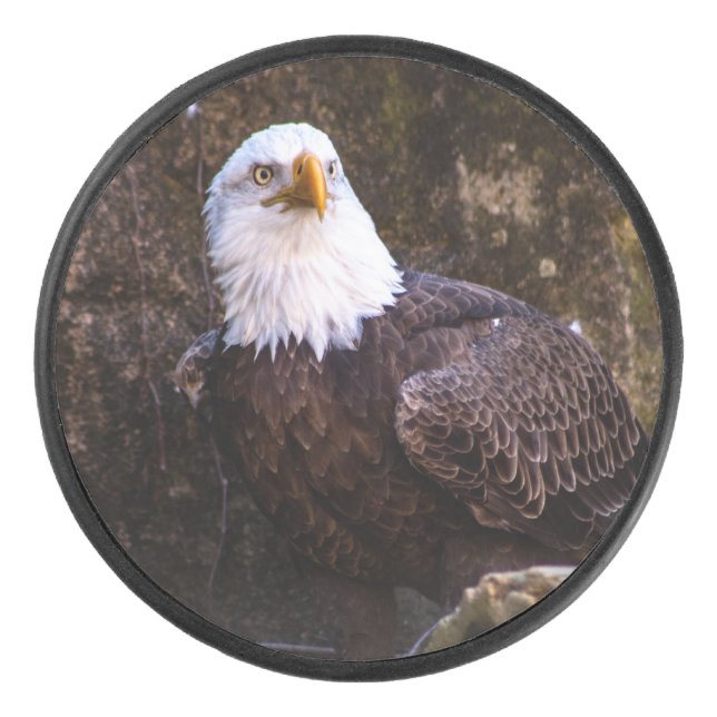 Disco De Hockey Bald Eagle (Anverso)