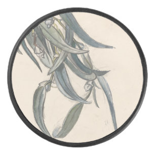 Disco De Hockey Bloeiende tak van een eucalyptus